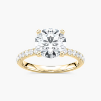 Classic Round Cut Engagement Ring With Hidden Halo