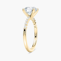 Round Cut Shared Prong Side Stone Engagement Ring