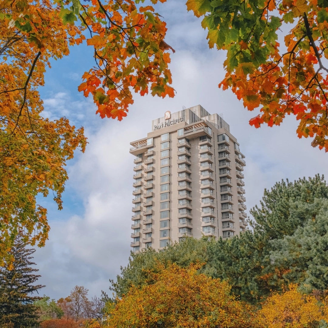 The Star Pledge: VIP Consultation